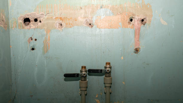 Best 24-hour water damage restoration  in Gervais, OR