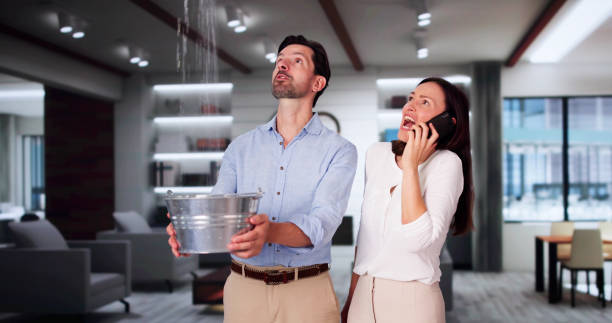 Best Water damage restoration near me  in Gervais, OR